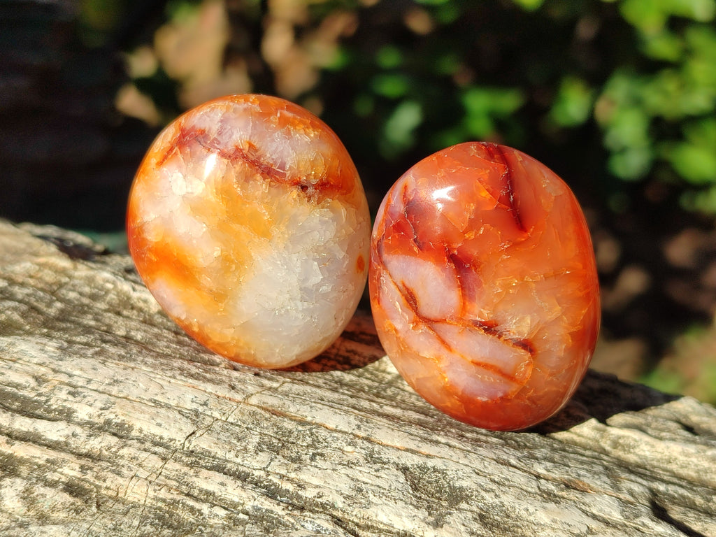 Polished Carnelian Agate Gemstone Galets x 35 From Madagascar - Toprock Gemstones and Minerals 