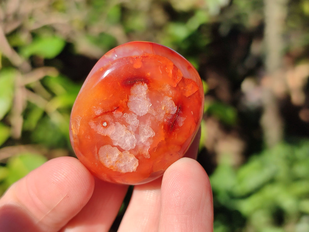 Polished Carnelian Agate Gemstone Galets x 35 From Madagascar - Toprock Gemstones and Minerals 