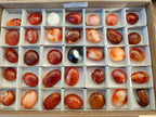 Polished Carnelian Agate Gemstone Galets x 35 From Madagascar - Toprock Gemstones and Minerals 