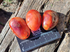 Polished Carnelian Agate Gemstone Galets x 35 From Madagascar - Toprock Gemstones and Minerals 