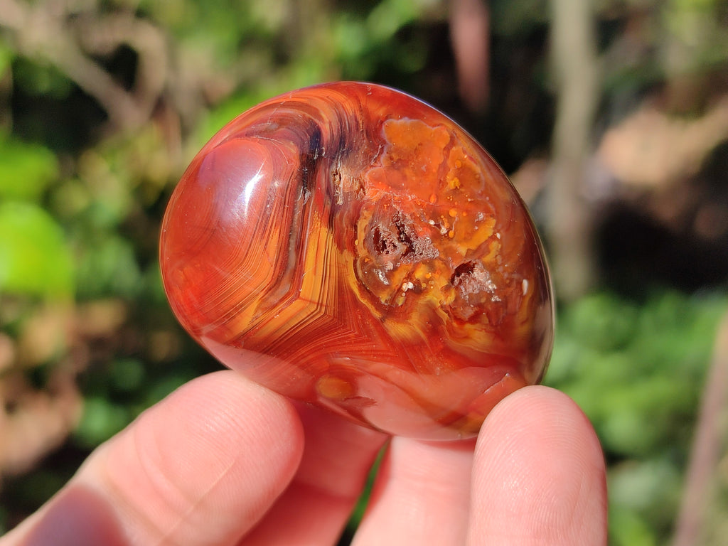 Polished Carnelian Agate Gemstone Galets x 35 From Madagascar - Toprock Gemstones and Minerals 