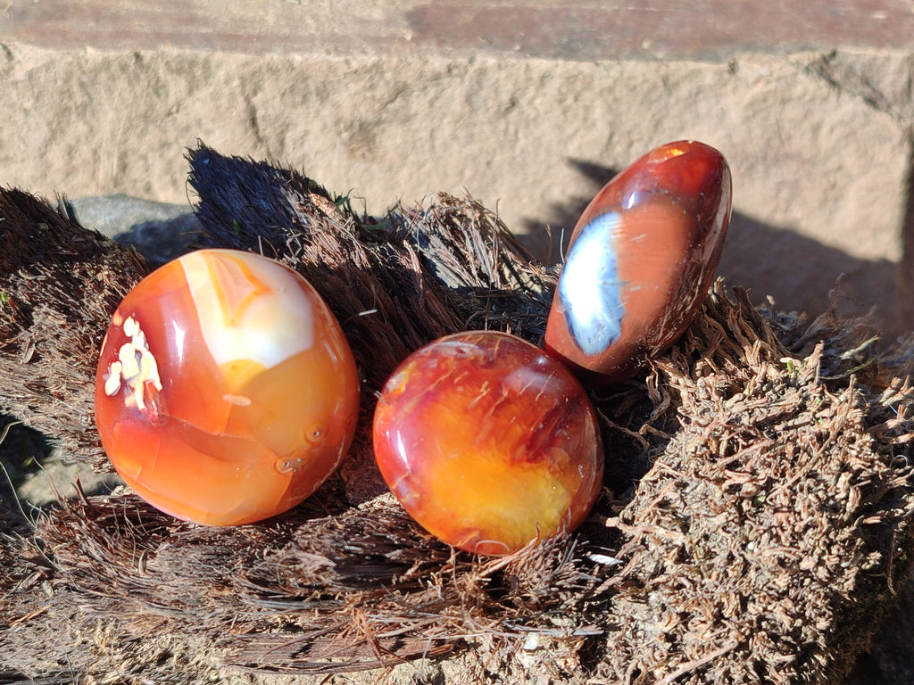 Polished Carnelian Agate Gemstone Galets x 35 From Madagascar - Toprock Gemstones and Minerals 