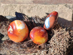 Polished Carnelian Agate Gemstone Galets x 35 From Madagascar - Toprock Gemstones and Minerals 