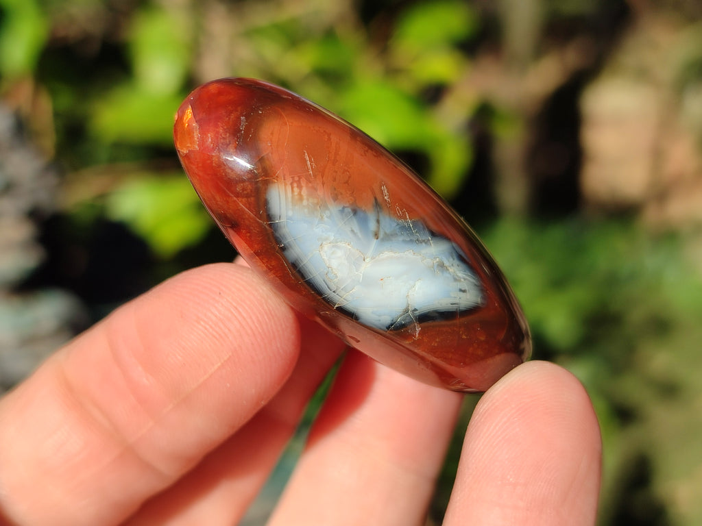 Polished Carnelian Agate Gemstone Galets x 35 From Madagascar - Toprock Gemstones and Minerals 