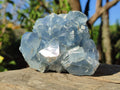 Natural Blue Celestite Specimens x 17 From Sakoany, Madagascar - Toprock Gemstones and Minerals 