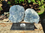 Natural Blue Celestite Specimens x 17 From Sakoany, Madagascar - Toprock Gemstones and Minerals 
