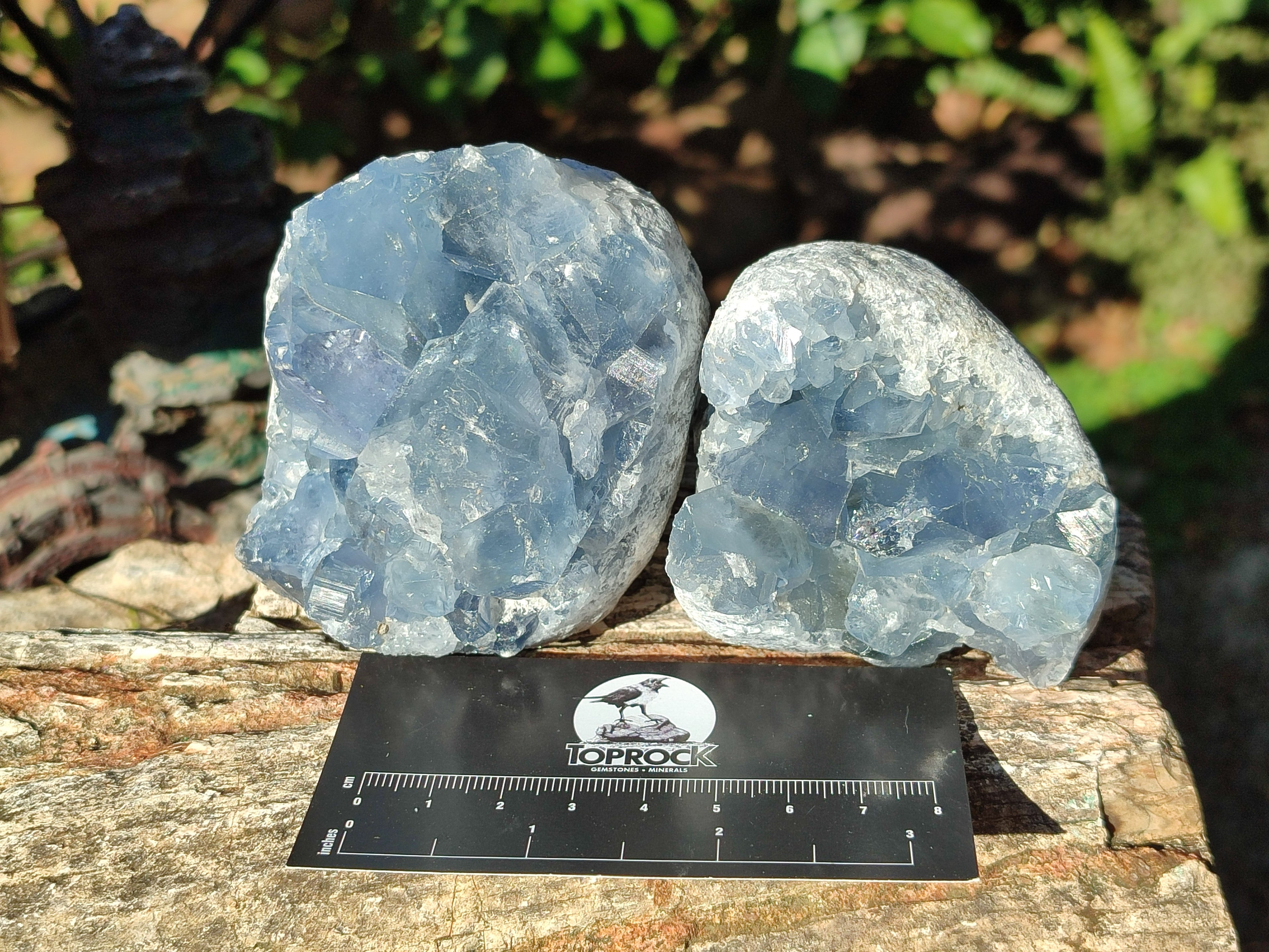 Natural Blue Celestite Specimens x 17 From Sakoany, Madagascar - Toprock Gemstones and Minerals 