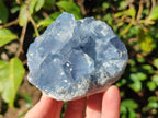 Natural Blue Celestite Specimens x 17 From Sakoany, Madagascar - Toprock Gemstones and Minerals 