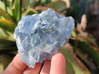 Natural Blue Celestite Specimens x 17 From Sakoany, Madagascar - Toprock Gemstones and Minerals 