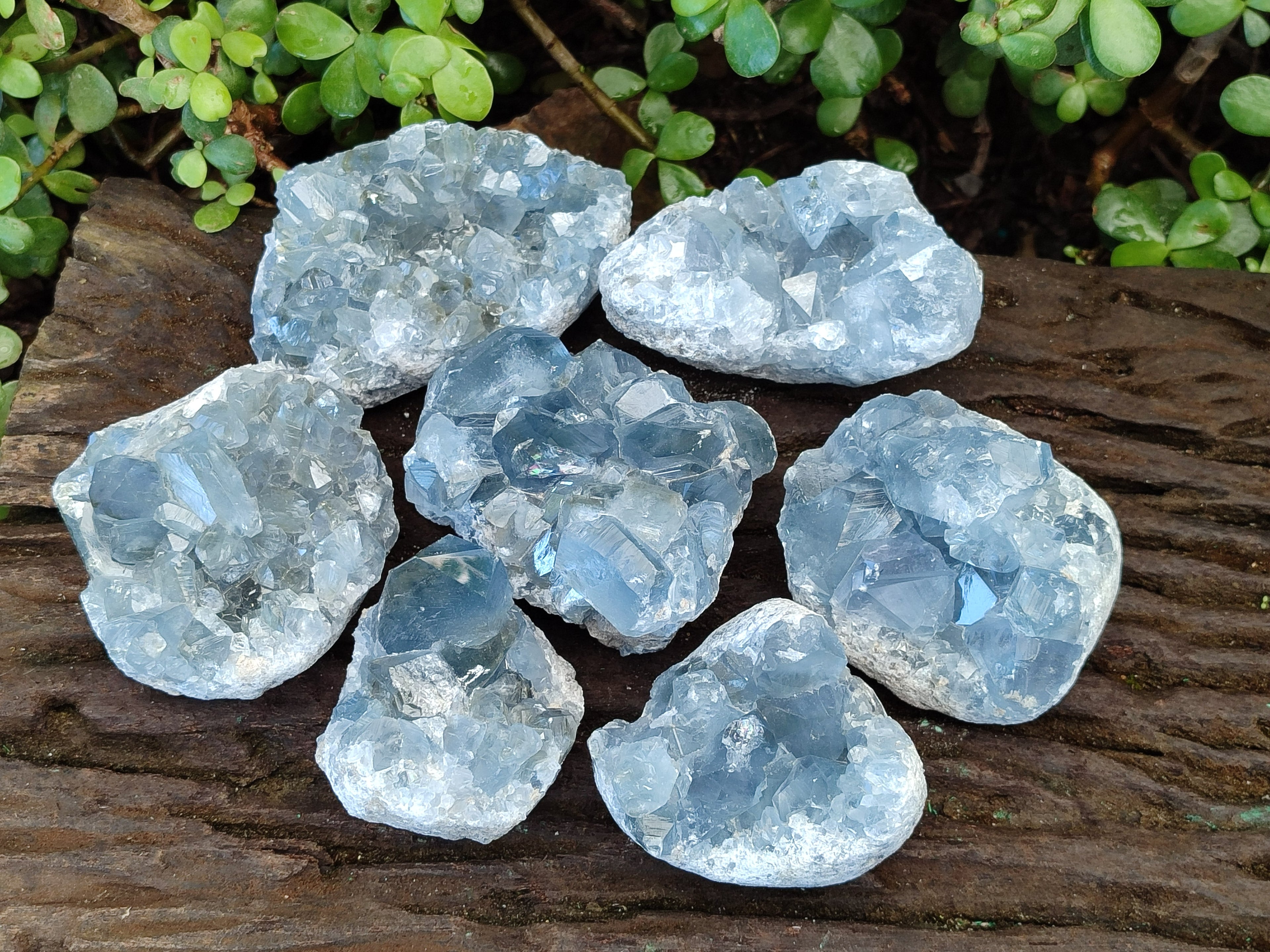 Natural Blue Celestite Specimens x 17 From Sakoany, Madagascar - Toprock Gemstones and Minerals 