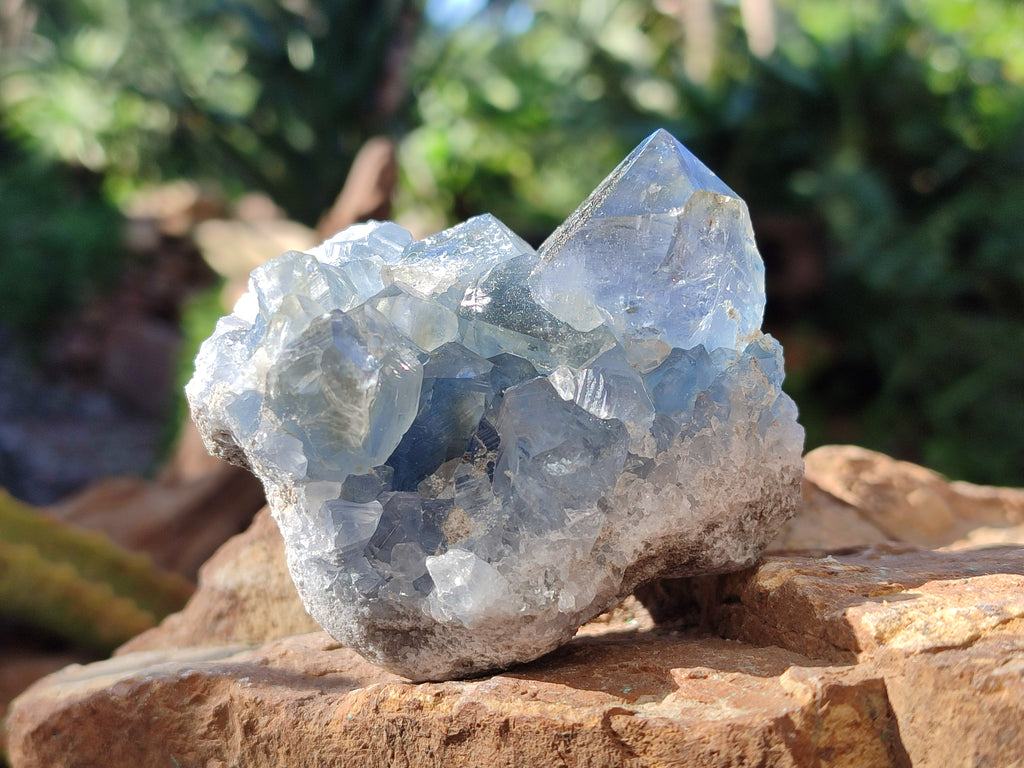 Natural Blue Celestite Specimens x 17 From Sakoany, Madagascar - Toprock Gemstones and Minerals 