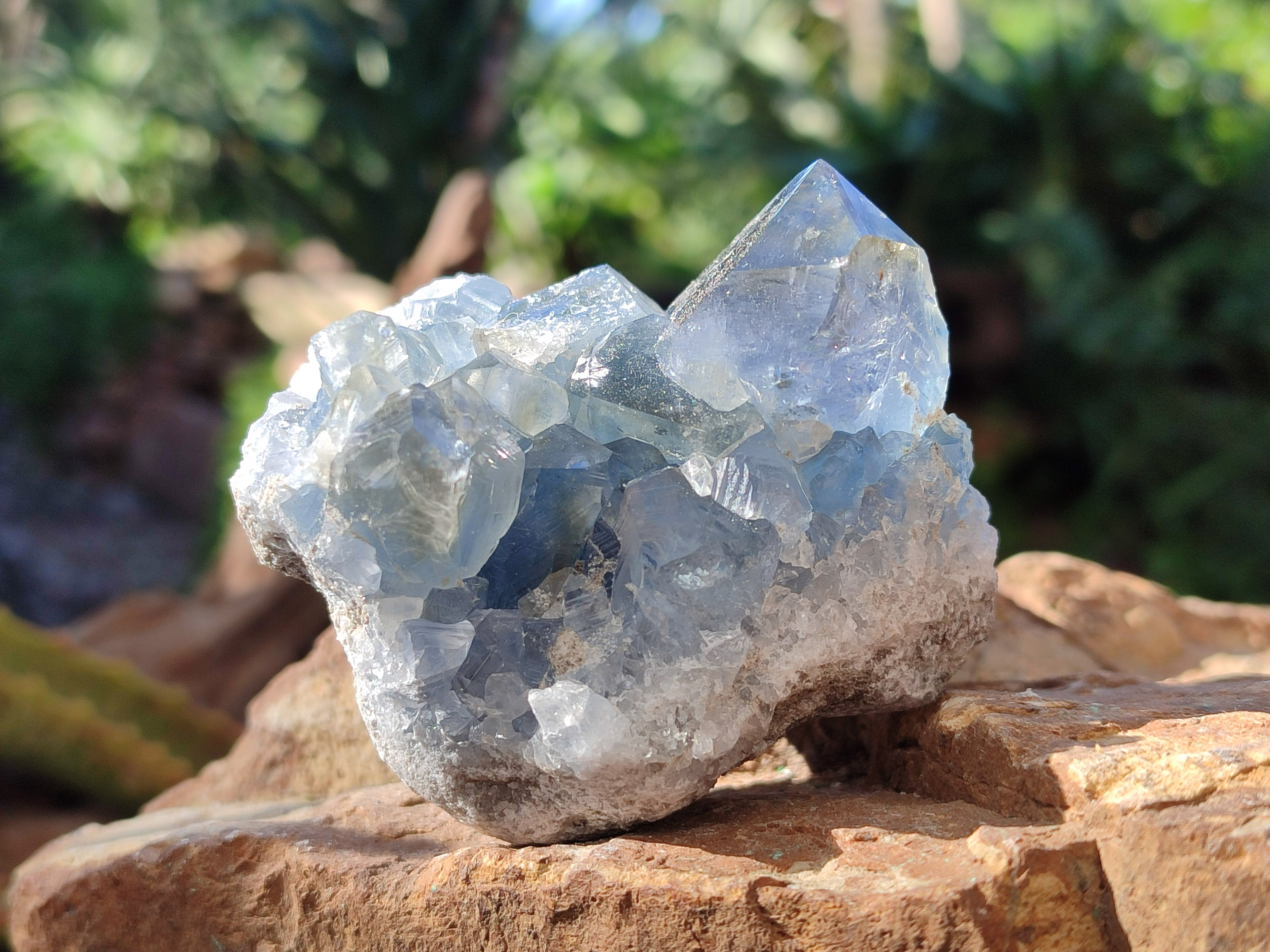 Natural Blue Celestite Specimens x 17 From Sakoany, Madagascar - Toprock Gemstones and Minerals 