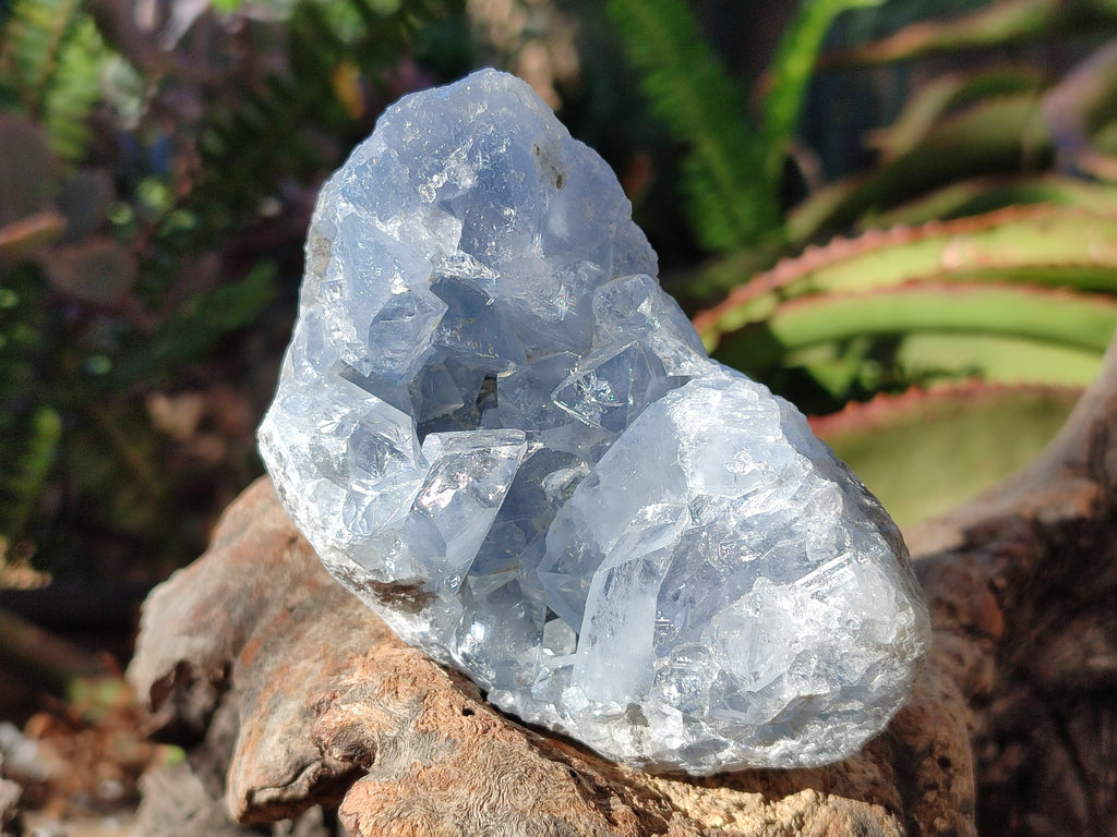 Natural Blue Celestite Specimens x 17 From Sakoany, Madagascar - Toprock Gemstones and Minerals 