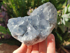 Natural Blue Celestite Specimens x 17 From Sakoany, Madagascar - Toprock Gemstones and Minerals 
