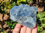 Natural Blue Celestite Specimens x 17 From Sakoany, Madagascar - Toprock Gemstones and Minerals 