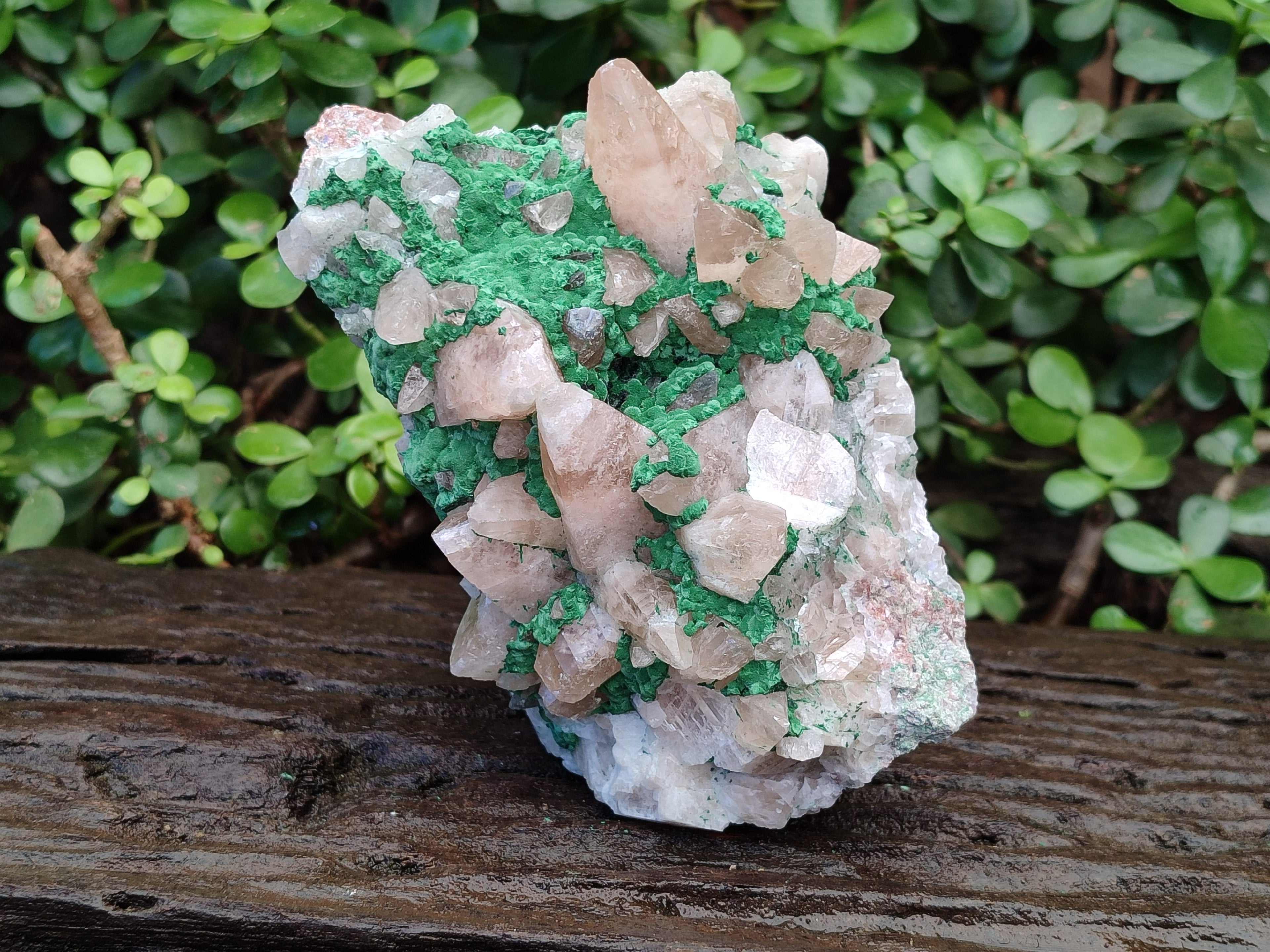 Natural Calcite Specimen with Kolwezite and Dogtooth Crystals on Pink Dolomite x 1 From Mashamba West Mine, Congo - Toprock Gemstones and Minerals 