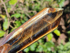 Polished Double Terminated Golden Tigers Eye Crystals x 4 From Prieska, South Africa - Toprock Gemstones and Minerals 