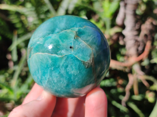 Polished Amazonite Spheres x 6 From Madagascar - Toprock Gemstones and Minerals 