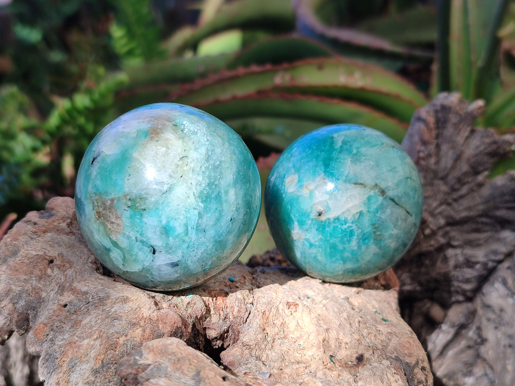 Polished Amazonite Spheres x 6 From Madagascar - Toprock Gemstones and Minerals 