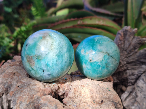 Polished Amazonite Spheres x 6 From Madagascar - Toprock Gemstones and Minerals 