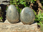 Polished Basalt Pharaoh Stone Galets x 4 From Iron Duke Mine, Zimbabwe - Toprock Gemstones and Minerals 