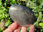 Polished Basalt Pharaoh Stone Galets x 4 From Iron Duke Mine, Zimbabwe - Toprock Gemstones and Minerals 