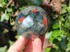 Polished Bloodstone Spheres x 3 From Swaziland - Toprock Gemstones and Minerals 