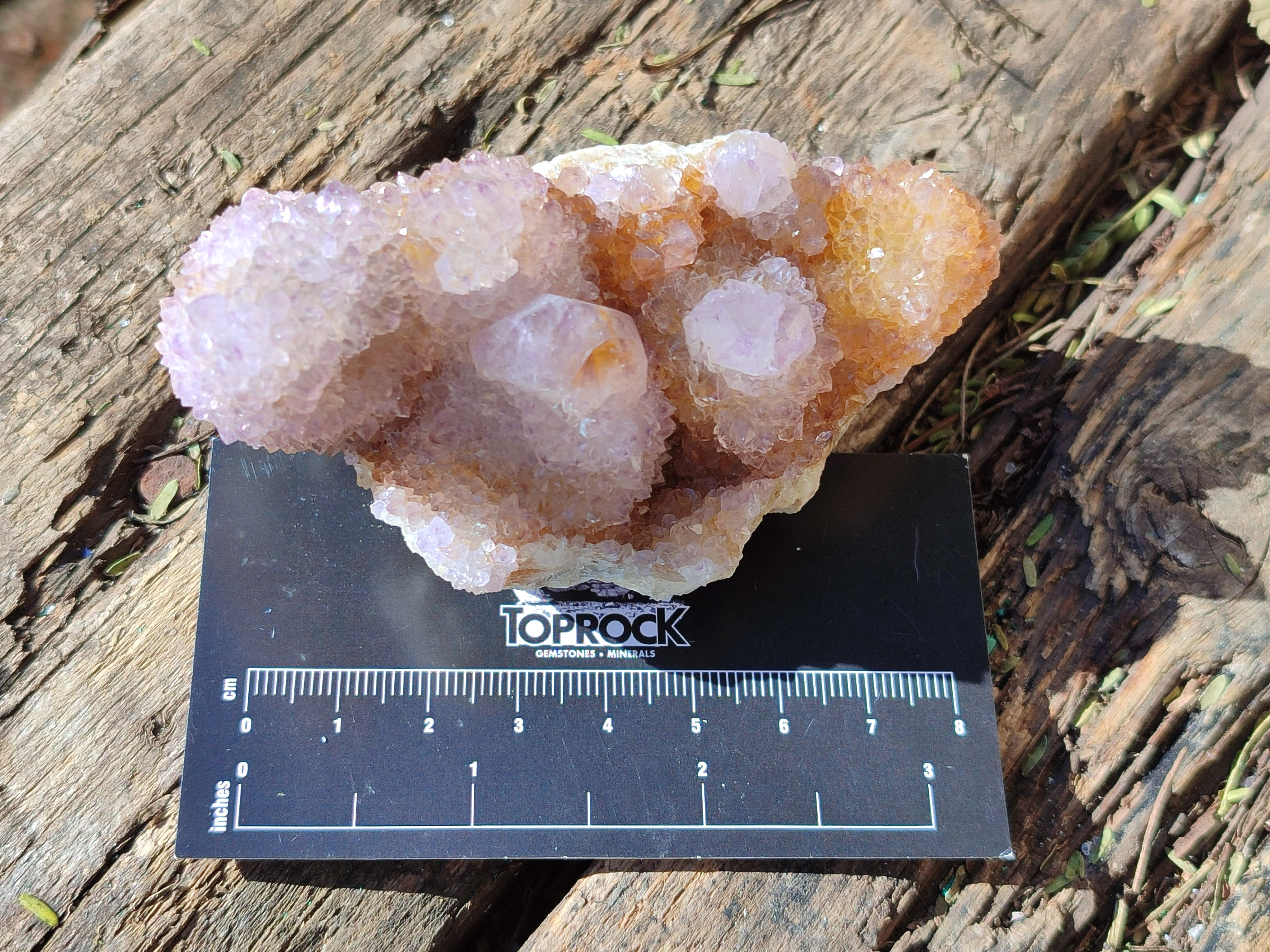 Natural Spirit Ametrine Clusters x 6 From Boekenhouthoek, South Africa - Toprock Gemstones and Minerals 