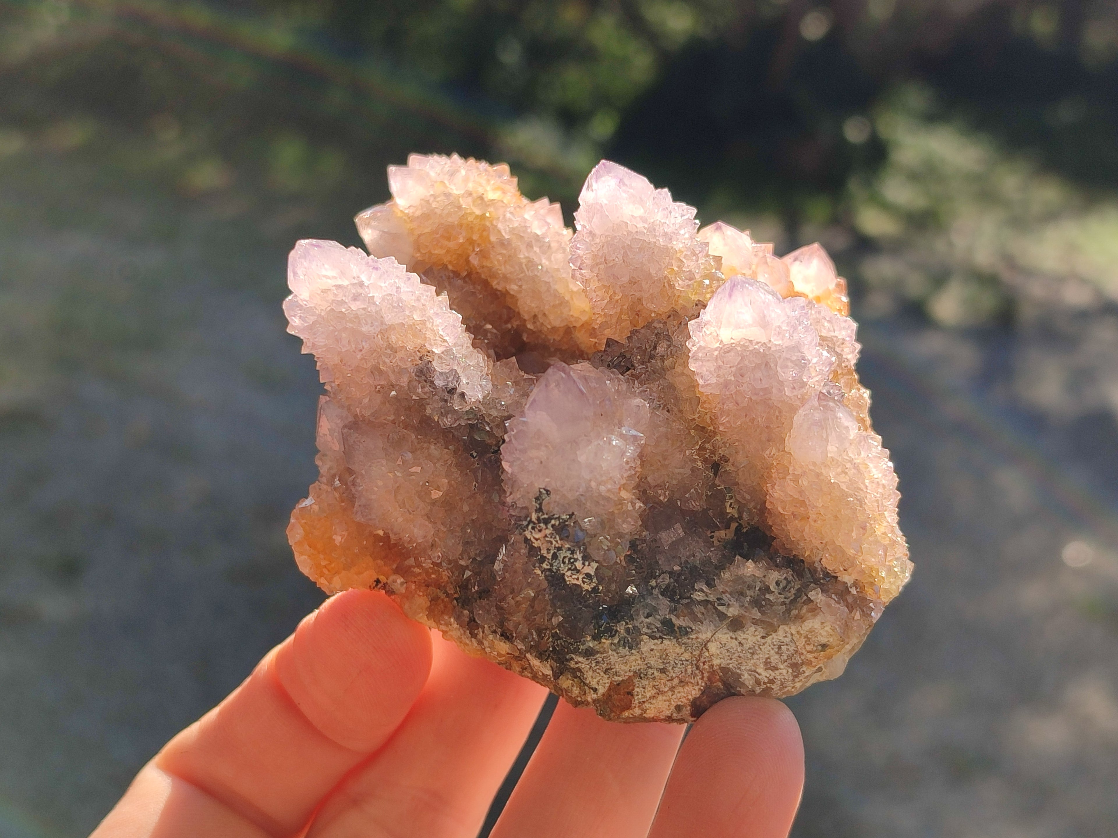 Natural Spirit Ametrine Clusters x 6 From Boekenhouthoek, South Africa - Toprock Gemstones and Minerals 