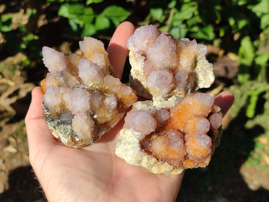 Natural Spirit Ametrine Clusters x 6 From Boekenhouthoek, South Africa - Toprock Gemstones and Minerals 
