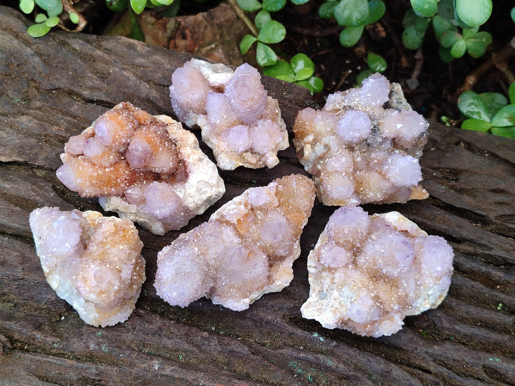 Natural Spirit Ametrine Clusters x 6 From Boekenhouthoek, South Africa - Toprock Gemstones and Minerals 