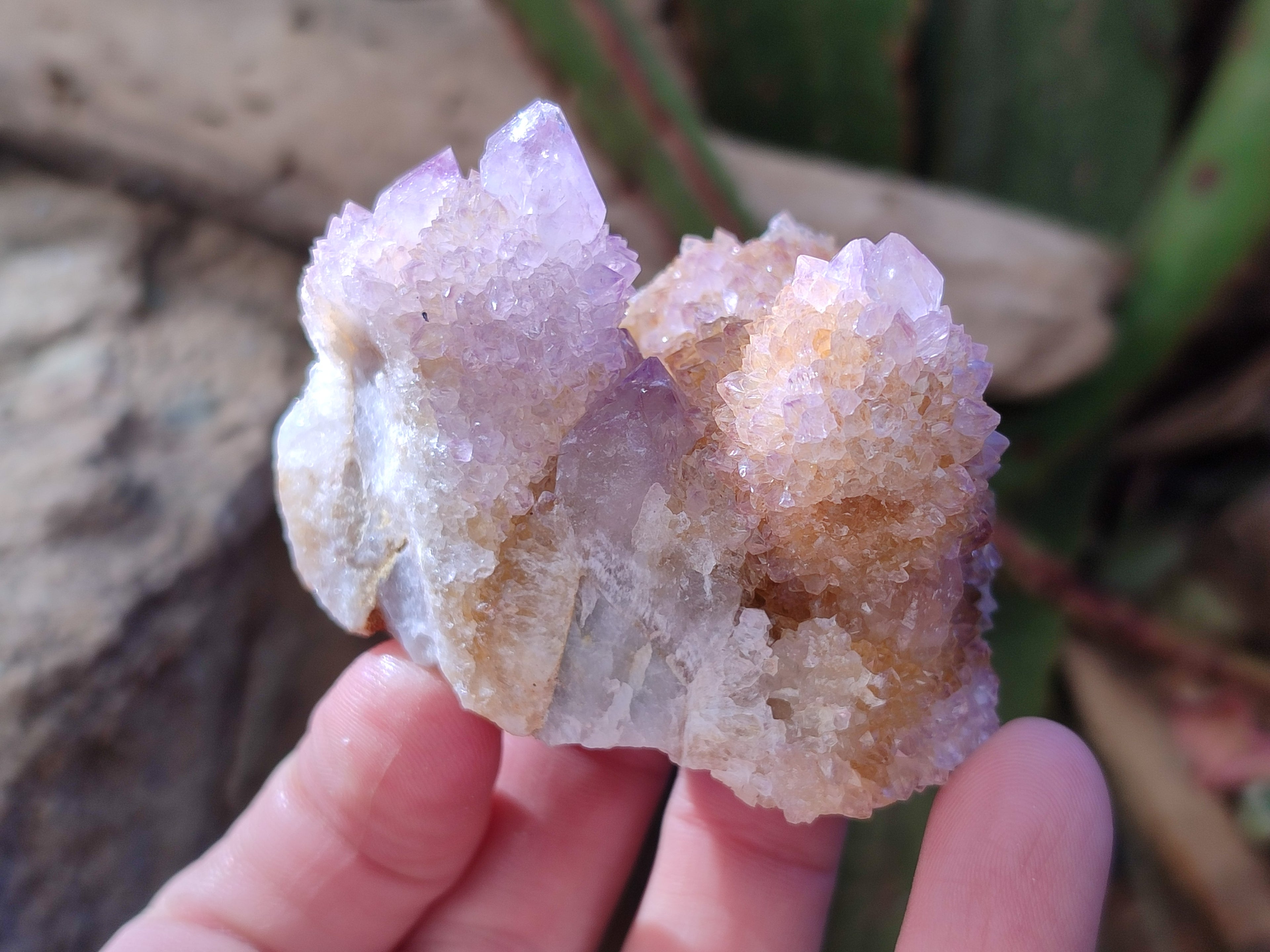 Natural Spirit Ametrine Clusters x 6 From Boekenhouthoek, South Africa - Toprock Gemstones and Minerals 