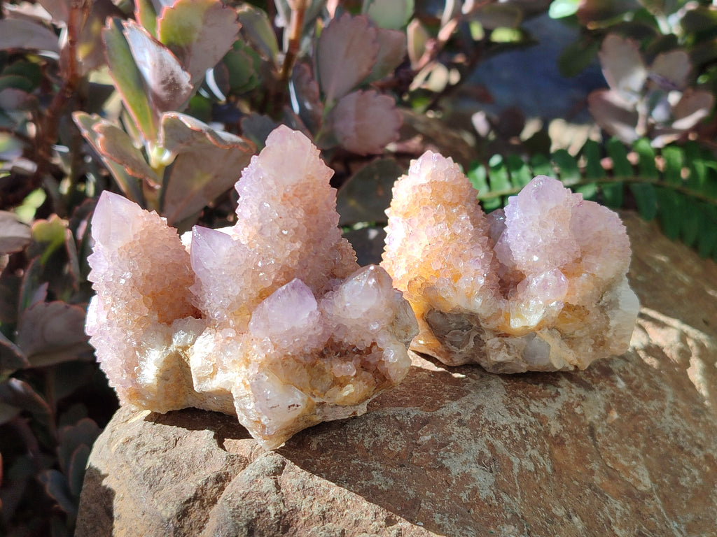 Natural Spirit Ametrine Clusters x 6 From Boekenhouthoek, South Africa - Toprock Gemstones and Minerals 