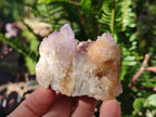 Natural Spirit Ametrine Clusters x 6 From Boekenhouthoek, South Africa - Toprock Gemstones and Minerals 