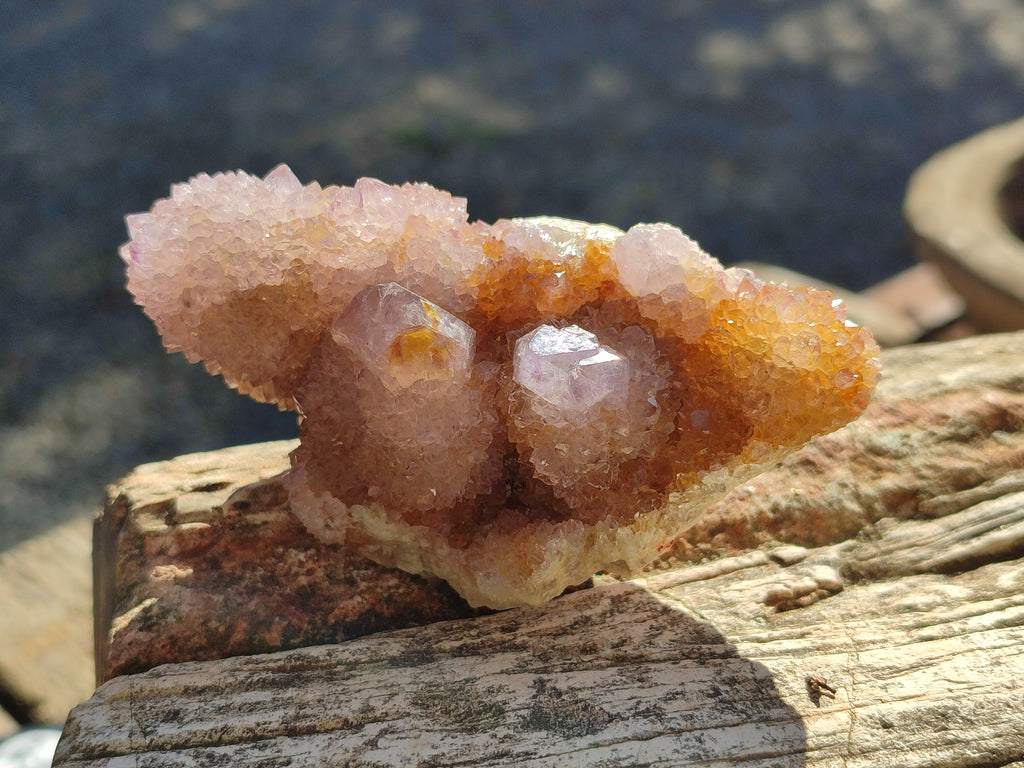 Natural Spirit Ametrine Clusters x 6 From Boekenhouthoek, South Africa - Toprock Gemstones and Minerals 