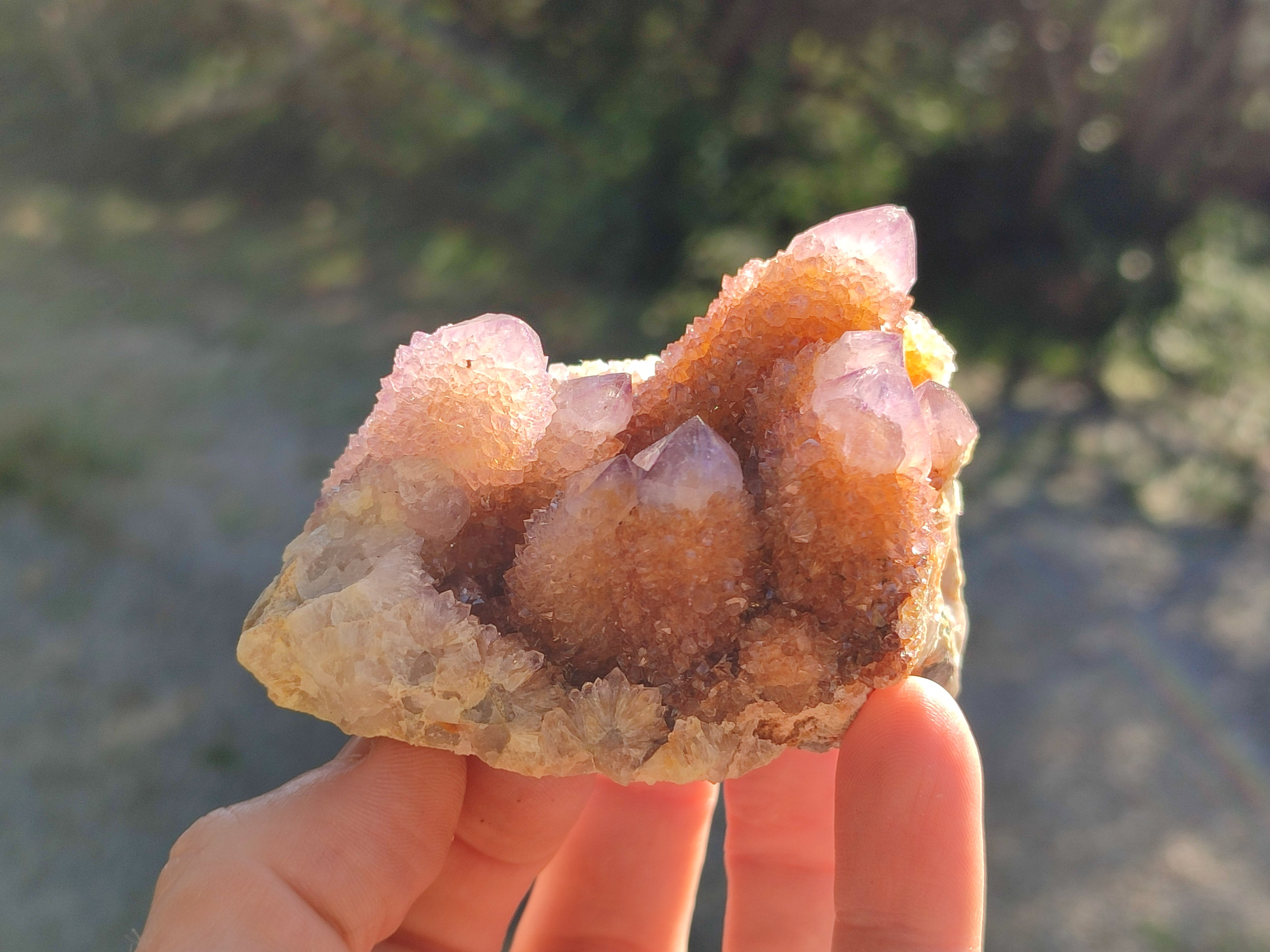 Natural Spirit Ametrine Clusters x 6 From Boekenhouthoek, South Africa - Toprock Gemstones and Minerals 