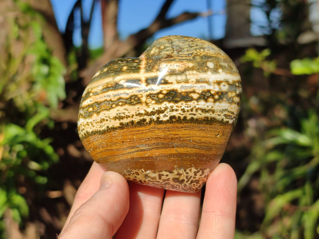 Polished Ocean Jasper Hearts x 6 From Northwest Coast, Madagascar - Toprock Gemstones and Minerals 