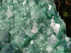 Natural XXL Green Cubic Fluorite Specimen x 1 From Mandrosonoro, Madagascar - Toprock Gemstones and Minerals 