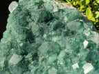 Natural XXL Green Cubic Fluorite Specimen x 1 From Mandrosonoro, Madagascar - Toprock Gemstones and Minerals 