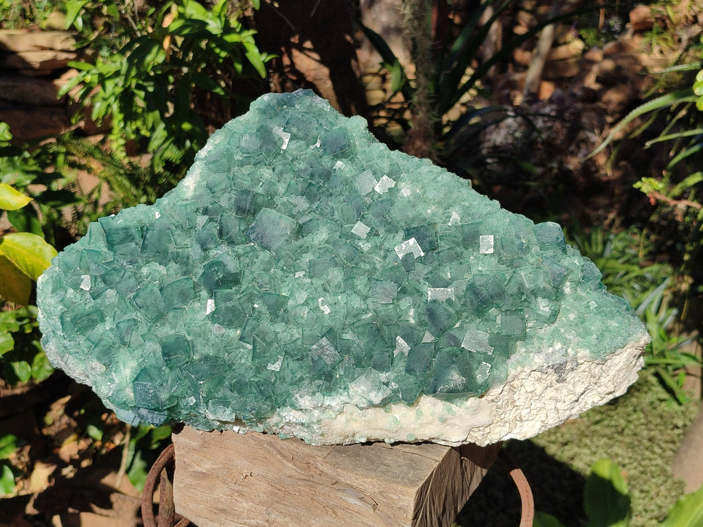 Natural XXL Green Cubic Fluorite Specimen x 1 From Mandrosonoro, Madagascar - Toprock Gemstones and Minerals 