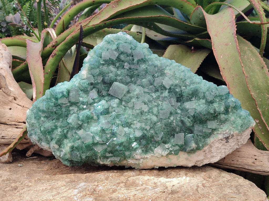 Natural XXL Green Cubic Fluorite Specimen x 1 From Mandrosonoro, Madagascar - Toprock Gemstones and Minerals 