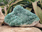 Natural XXL Green Cubic Fluorite Specimen x 1 From Mandrosonoro, Madagascar - Toprock Gemstones and Minerals 