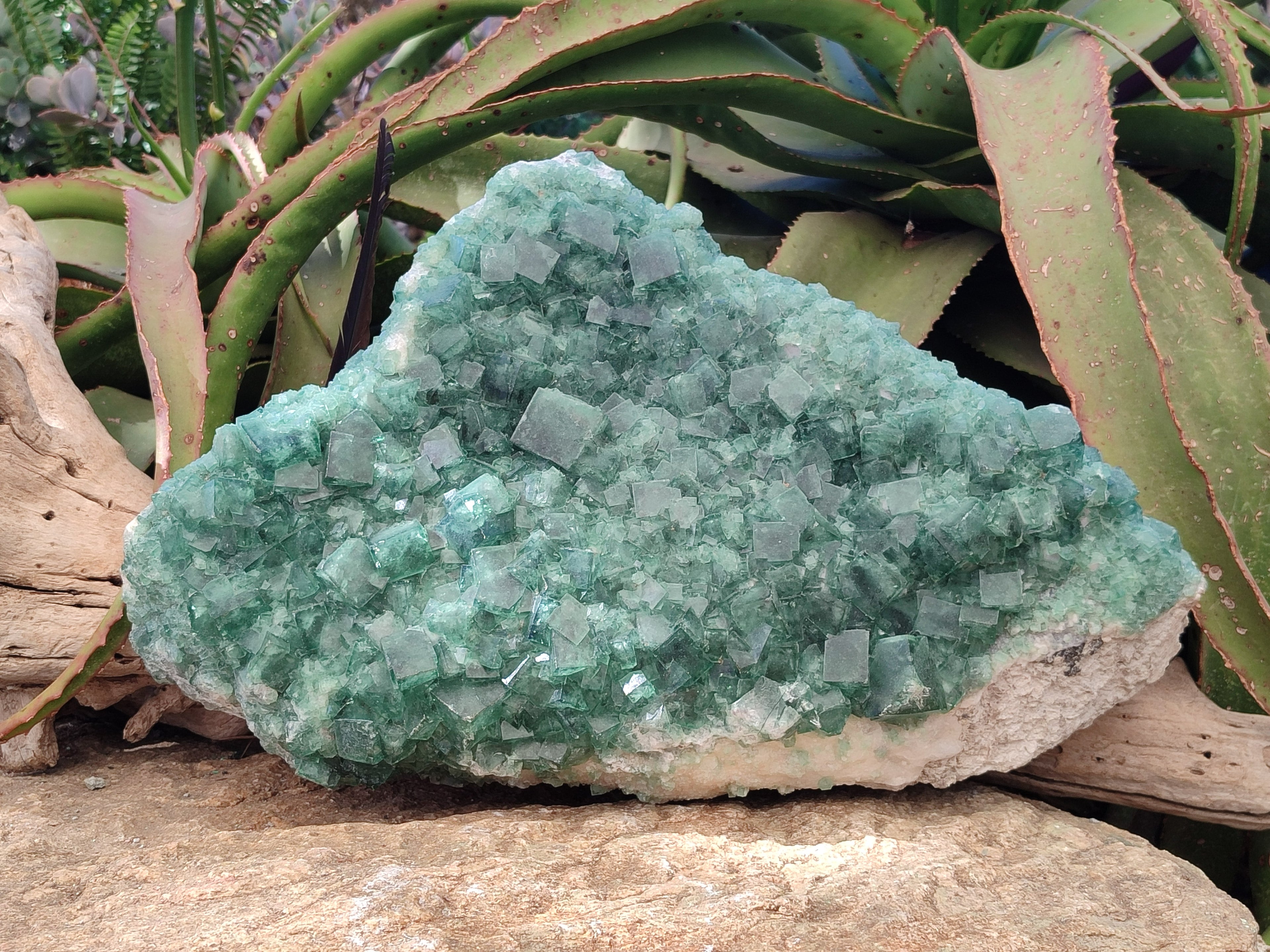 Natural XXL Green Cubic Fluorite Specimen x 1 From Mandrosonoro, Madagascar - Toprock Gemstones and Minerals 