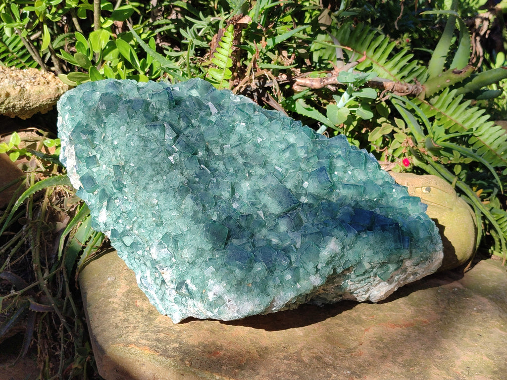 Natural XXL Green Cubic Fluorite Specimen x 1 From Mandrosonoro, Madagascar - Toprock Gemstones and Minerals 