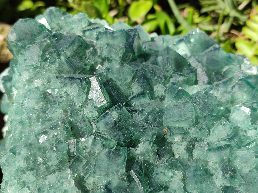 Natural XXL Green Cubic Fluorite Specimen x 1 From Mandrosonoro, Madagascar - Toprock Gemstones and Minerals 