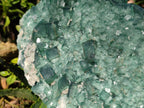 Natural XXL Green Cubic Fluorite Specimen x 1 From Mandrosonoro, Madagascar - Toprock Gemstones and Minerals 