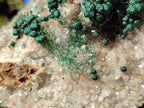 Natural Large Cabinet Ball Malachite Specimen Coated with Drusy Quartz on Dolomite x 1 From Mindingi Mine, Congo - Toprock Gemstones and Minerals 