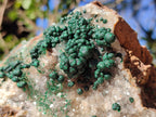 Natural Large Cabinet Ball Malachite Specimen Coated with Drusy Quartz on Dolomite x 1 From Mindingi Mine, Congo - Toprock Gemstones and Minerals 