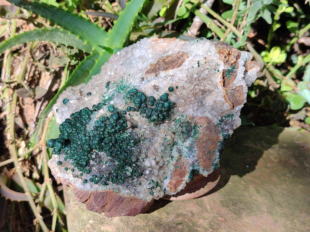 Natural Large Cabinet Ball Malachite Specimen Coated with Drusy Quartz on Dolomite x 1 From Mindingi Mine, Congo - Toprock Gemstones and Minerals 