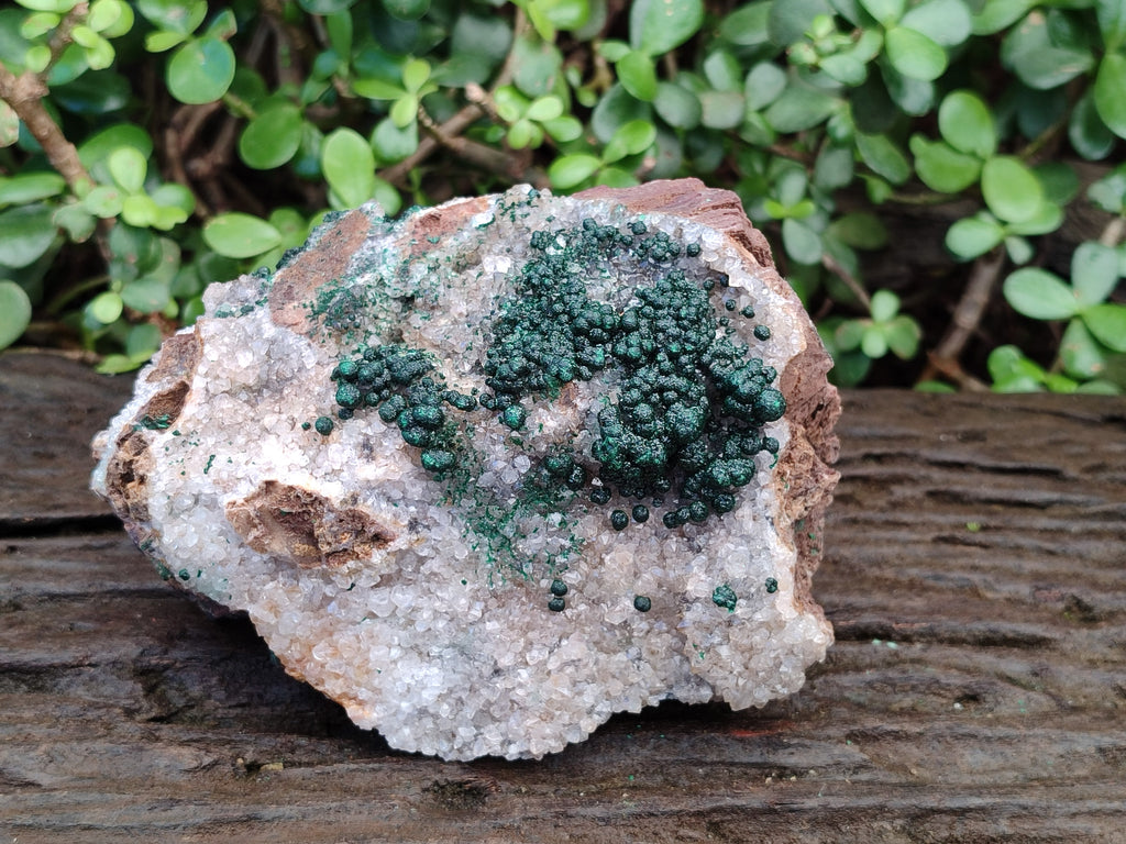 Natural Large Cabinet Ball Malachite Specimen Coated with Drusy Quartz on Dolomite x 1 From Mindingi Mine, Congo - Toprock Gemstones and Minerals 